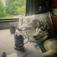 Немного юмора под вечер!