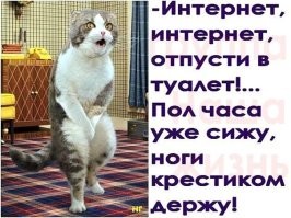 Немного юмора под вечер!