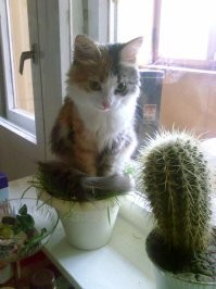 Немного юмора под вечер!