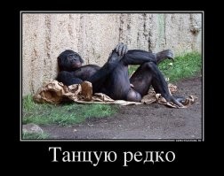 Немного юмора под вечер!
