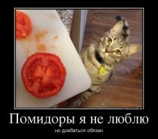 Немного юмора под вечер!