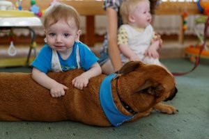 Немного юмора под вечер!