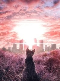 Не ищите здесь смысл. Здесь в основном маразм