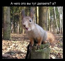 «С ветерком»: неадекватный мужик устроил погром в магазине в Иваново