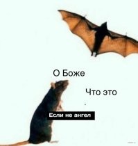 Попадёшь на него и не вернёшься. История острова Барсакельмес