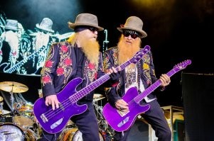 собака группы ZZ-top