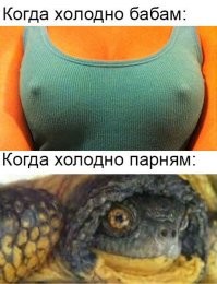 Не ищите здесь смысл. Здесь в основном маразм