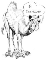 Йожика картинки. Выпуск 214