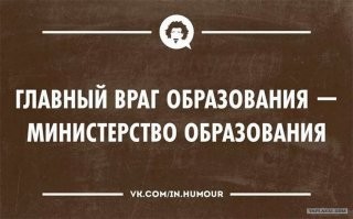 Йожика картинки. Выпуск 214