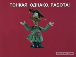 Ястреб зрелищно отнял добычу у совы