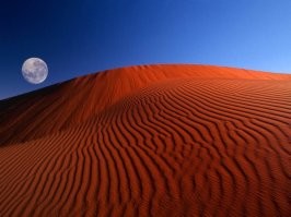 Не филейные места. С другой стороны, где рождается верблюжья лапка. Как говорил мой товарищ, с любовью глядя на эту заставку - эротичней подтекста он не видывал ещё !