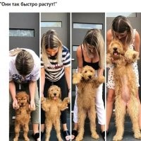 Интересно, как они выросли на 4-м фото?