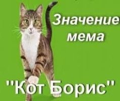 В моём дворе, жили сразу 2 кота Бориса - и ничего.  
Привыкнешь, звёздность пройдёт...