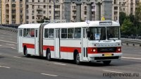 а у нас в городе эти были но белого цвета