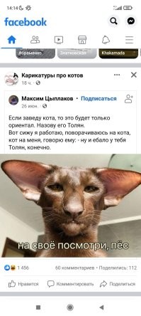 Не ищите здесь смысл. Здесь в основном маразм