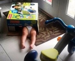 Ребенок воспитанный котом ))