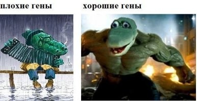 На общую тему