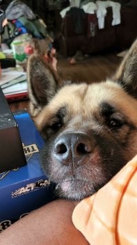 ты меня правда не вернёшь обратно в приют?