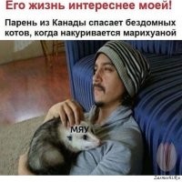 Несколько интересных фактов об опоссумах