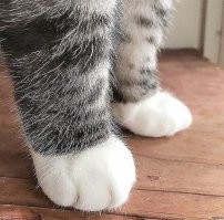 Не ищите здесь смысл. Здесь в основном маразм