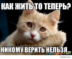 20 любопытных сравнений и фактов обо всём на свете