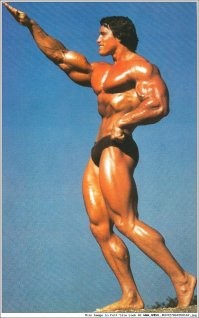 Шварценеггер вызвал скандал, оставив неуместную запись в гостевой книге Освенцима