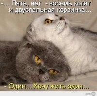 На общую тему