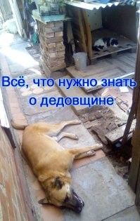 Выгнал пса с его законной лежанки – день прожил не зря