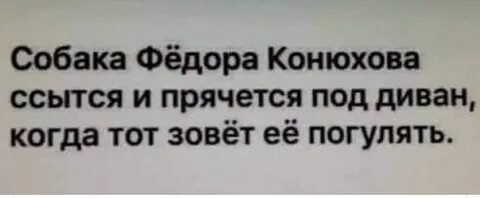 Йожика картинки. Выпуск 215