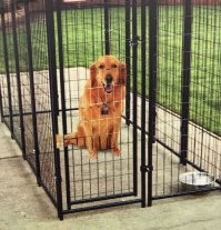 Неудачные редактирования в Photoshop, которые превратились в комедийное шоу