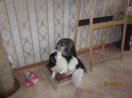 Бывает сопротивление, но недолго...