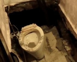 3-D пол в вашем санузле! Акция! Недорого!