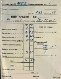 Растёт даже без растишки: с юмором о коммунальных платежах