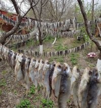 Ностальгия по СССР в дивных ретро-фото