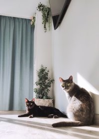 И от наших - с добрым утром!