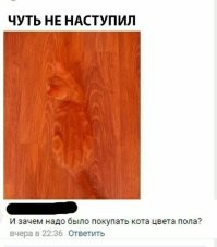 14 случаев, когда случайная маскировка была почти гениальной