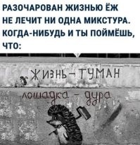 14 надписей на стенах, в которых больше смысла, чем в книгах по философии