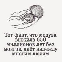 Йожика картинки. Выпуск 217