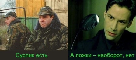 Всё вразнобой