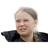 Почему озеро Чад умирает? Что будет с африканским народом?