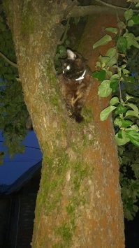 Мне сверху видно все!