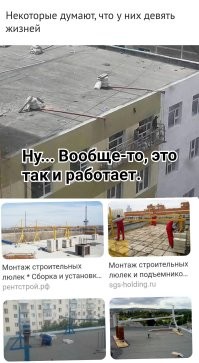 25 людей, которые думают, что у них девять жизней