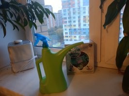 Ну... Лейка с пульверизатором вполне функциональна. 
У меня мама подобной пользуются. 

Но "автополив", ещё удобнее! ;)