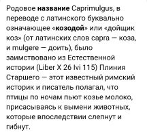 Йожика картинки. Выпуск 217