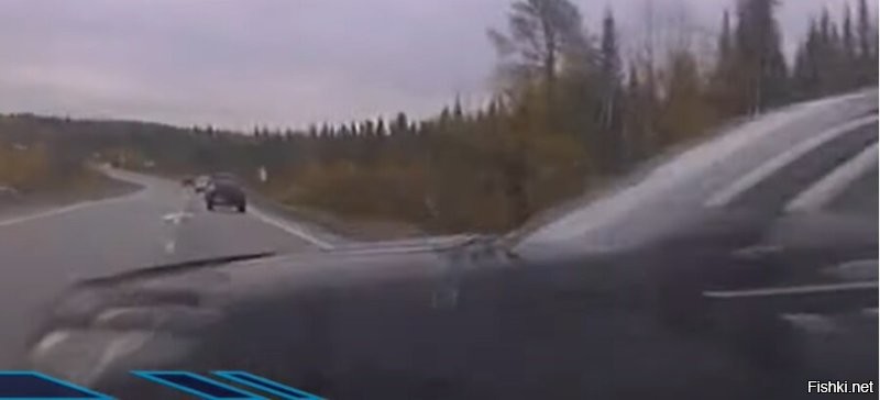 Он ему жизнь спас, стукнув в крыло, а прикинь если бы в водительскую дверь въехал?