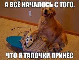 Весёлые и жизненные демотиваторы