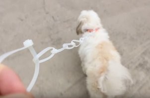 Выглядит надёжно: убойные примеры применения пластиковых стяжек