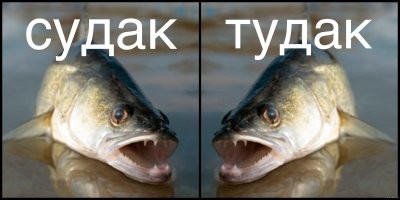 Вечер вторника хорош, когда домой уставший ты прийдёшь!