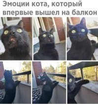 Йожика картинки. Выпуск 218