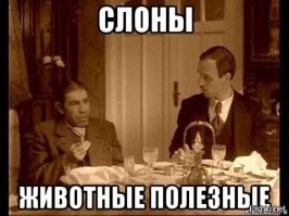 Вечер вторника хорош, когда домой уставший ты прийдёшь!